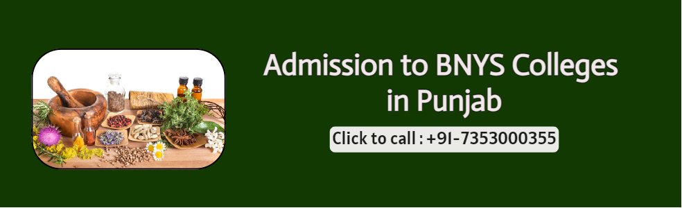 BNYS Colleges in Punjab